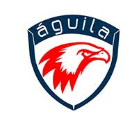 Aguila Consulting Aguila Consulting