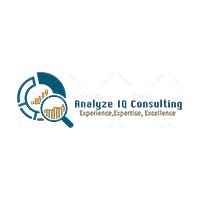 Analyze IQ Consulting LLP Analyze IQ Consulting LLP