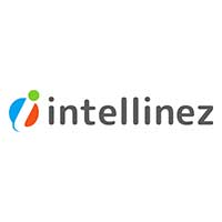 Intellinez Systems Intellinez Systems